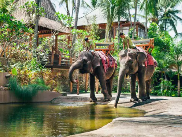 Advantages of Mason Elephant Park Bali